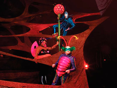 Ovo. Cirque du Soleil