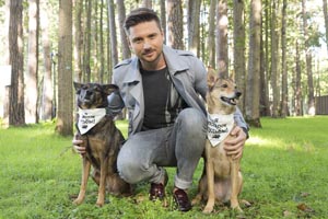всем по собаке